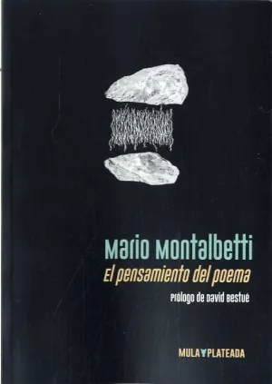 El Pensamiento del Poema