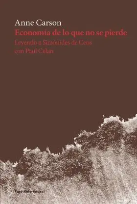 Economia de lo que no se Pierde