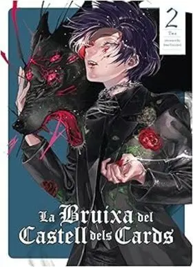La Bruixa del Castell Dels Cards