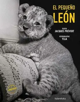Pequeño Leon, el