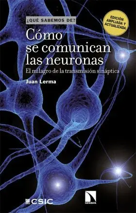 Como se Comunican las Neuronas