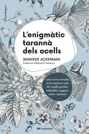 L Enigmatic Taranna Dels Ocells