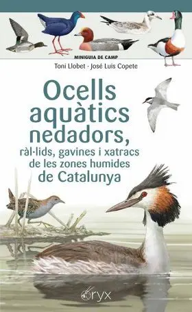 Ocells Aquàtics Nedadors, Ràl·lids, Gavines I Xatracs de les Zones Humides de Ca