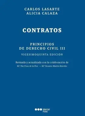 Principios de Derecho Civil.