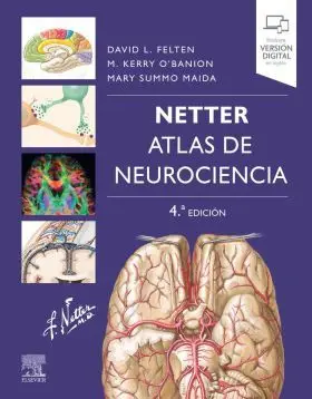 Netter. Atlas de Neurociencia (4ª Ed. )