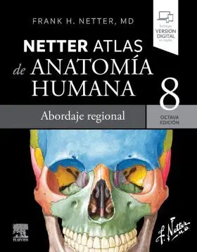 Netter Atlas de Anatomia Humana Abordaje Regiona
