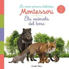 Els Animals del Bosc. La Meva Primera Biblioteca Montessori