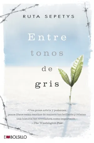 Entre Tonos de Gris