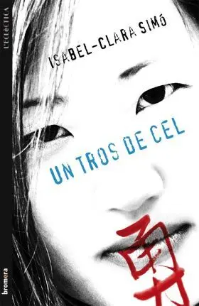 Un Tros de Cel (Prov)