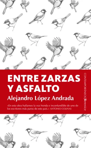 Entre Zarzas y Asfalto