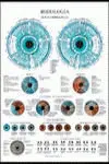Iridiologia