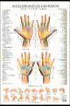 Reflexologia de las Manos