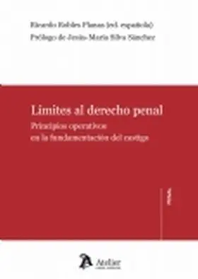 Limites a la Ley Penal.