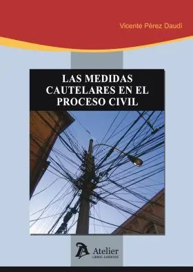 Medidas Cautelares en el Proceso Civil.