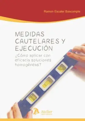 Medidas Cautelares y Ejecucion