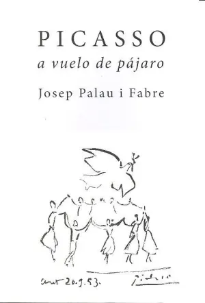 Picasso a Vuelo de Pajaro