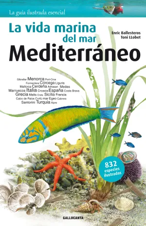 La Vida Marina del Mar Mediterraneo