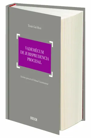 Vademecum de Jurisprudencia Procesal