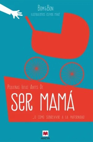 Pequeñas Ideas Antes de Ser Mama 
