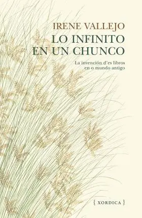 Lo Infinito en un Chunco