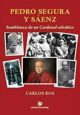 Pedro Segura y Saenz