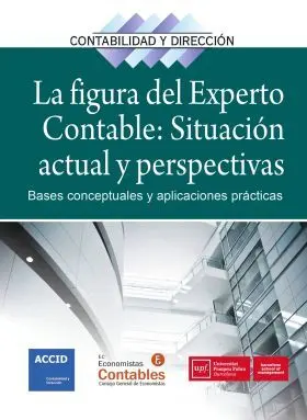 La Figura del Experto Contable: Situacion Actual y