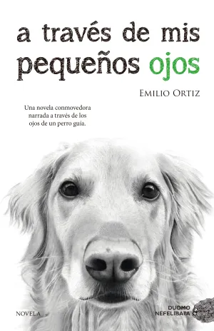 A Traves de Mis Pequeños Ojos