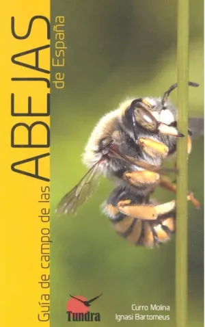 Guia de Campo de las Abejas de España