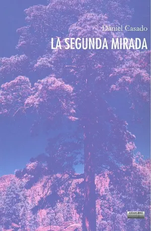 Segunda Mirada