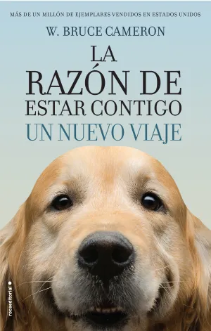 La Razon de Estar Contigo. Un Nuevo Viaje