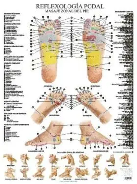 Laminas. Reflexologia Podal (N. e. )