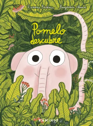 Pomelo Descubre