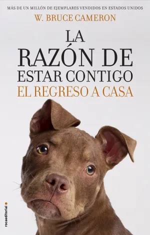 La Razon de Estar Contigo. El Regreso a Casa
