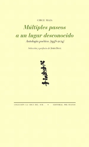 Múltiples Paseos a un Lugar Desconocido