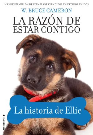 La Razon de Estar Contigo