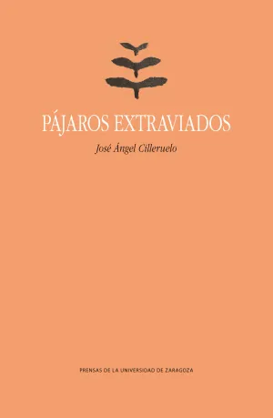 Pajaros Extraviados