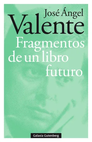 Fragmentos de un Libro Futuro- Rústega