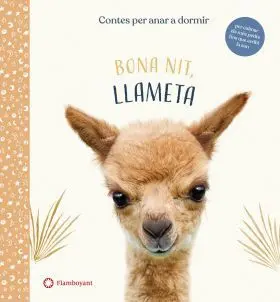 Bona Nit Llameta