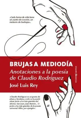 Brujas a Mediodia. Anotaciones a la Vida y Obra de