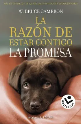 La Razon de Estar Contigo. La Promesa