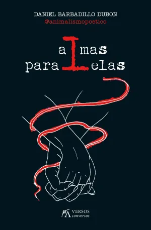 Almas Paralelas