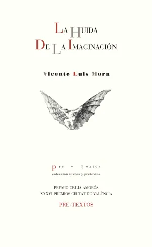 La Huida de la Imaginación