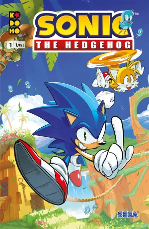 Sonic The Hedgehog N 01