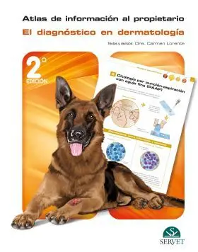 Atlas de Informacion Al Propietario Diagnostico de