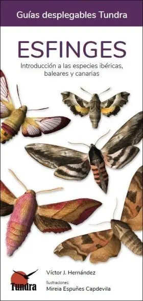 Esfinges - Guias Desplegables Tundra