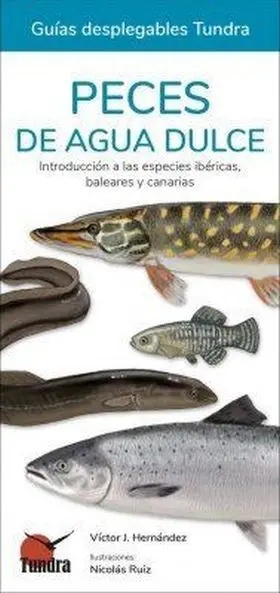 Peces de Agua Dulce - Guias Desplegables Tundra