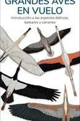Grandes Aves en Vuelo - Guias Desplegables Tundra