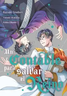 Un Contable para Salvar el Reino 7