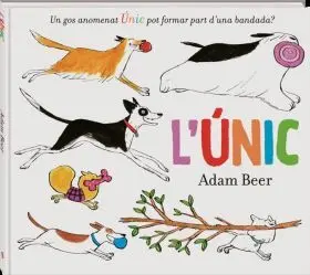 Lúnic