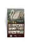 Calendario Aves de America